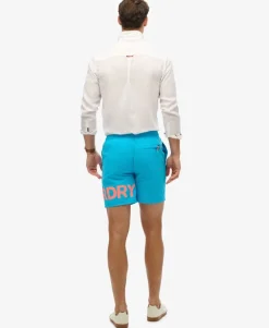 Graphic 17-Inch Swim Shorts