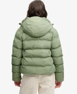 Hooded City Padded Jacket