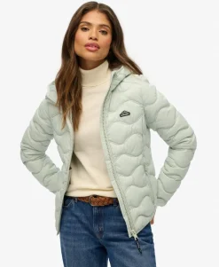 Hooded Fuji Lite Wave Padded Jacket