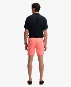 Premium Regular Chino Shorts